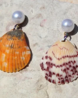 Shell Earrings